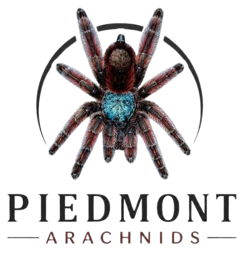 Piedmont Arachnids